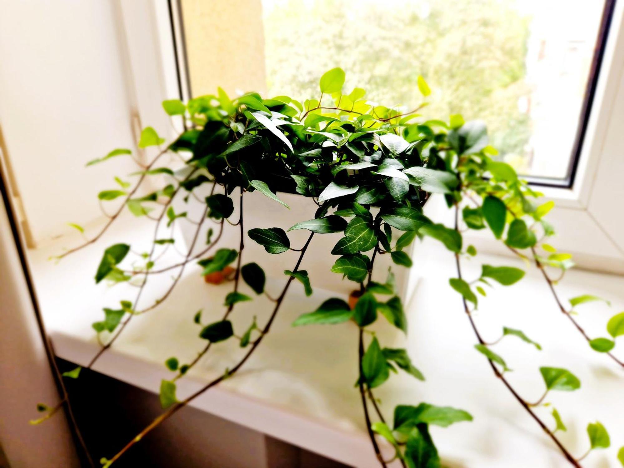 J&W Apartments Grojecka Glam Flat 华沙 外观 照片